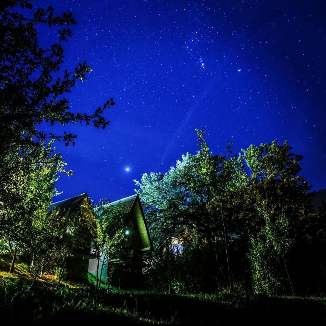 B&B Konak ปลูชิเน ภายนอก รูปภาพ